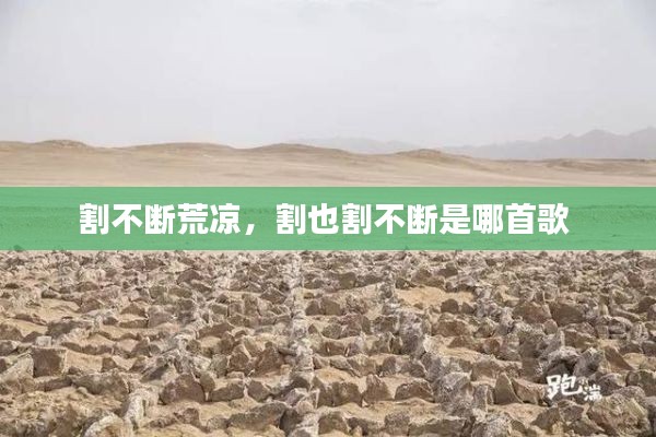 割不断荒凉，割也割不断是哪首歌 