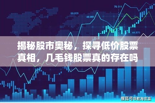 云龙井蛙