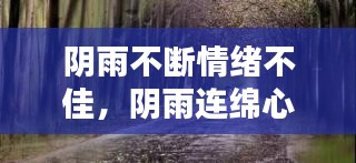 专心致志
