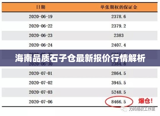 海南品质石子仓最新报价行情解析