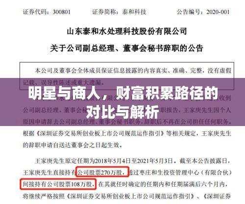 明星与商人，财富积累路径的对比与解析