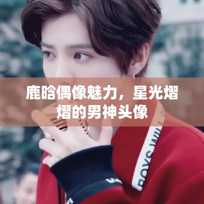 鹿晗偶像魅力，星光熠熠的男神头像