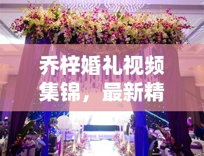 乔梓婚礼视频集锦，最新精选播放大全