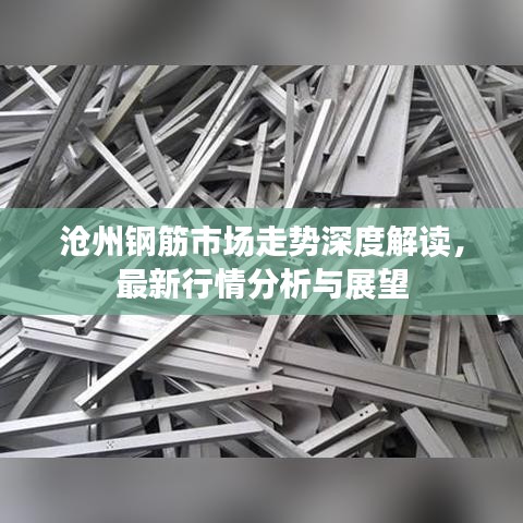 沧州钢筋市场走势深度解读，最新行情分析与展望