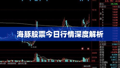 海豚股票今日行情深度解析