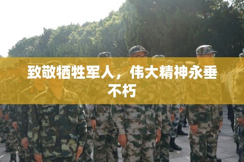 致敬牺牲军人，伟大精神永垂不朽