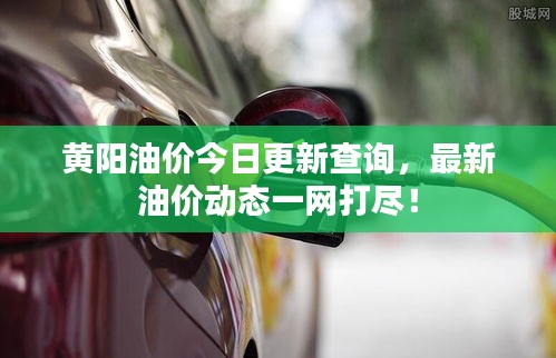 黄阳油价今日更新查询，最新油价动态一网打尽！