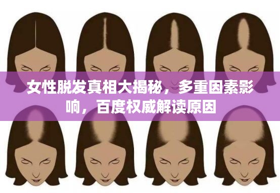 女性脱发真相大揭秘，多重因素影响，百度权威解读原因
