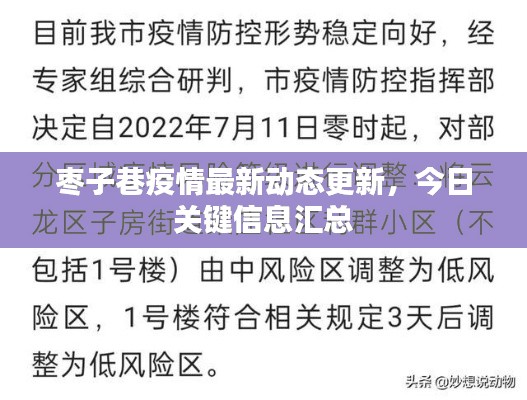 枣子巷疫情最新动态更新，今日关键信息汇总