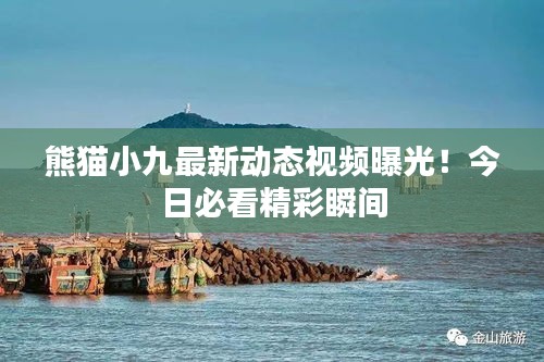熊猫小九最新动态视频曝光！今日必看精彩瞬间