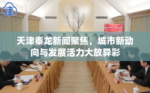 天津秦龙新闻聚焦，城市新动向与发展活力大放异彩