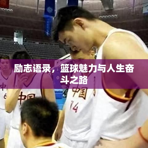 励志语录，篮球魅力与人生奋斗之路