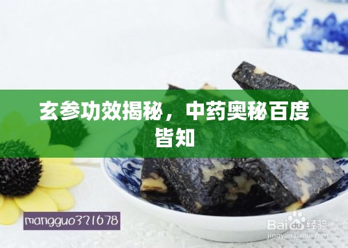 玄参功效揭秘，中药奥秘百度皆知