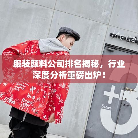 服装颜料公司排名揭秘，行业深度分析重磅出炉！