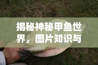 2025年5月6日