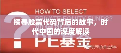 探寻股票代码背后的故事，时代中国的深度解读