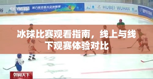 冰球比赛观看指南，线上与线下观赛体验对比