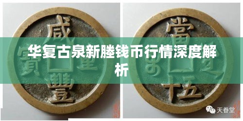 华复古泉新塍钱币行情深度解析