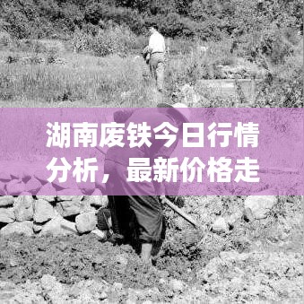 湖南废铁今日行情分析，最新价格走势揭秘