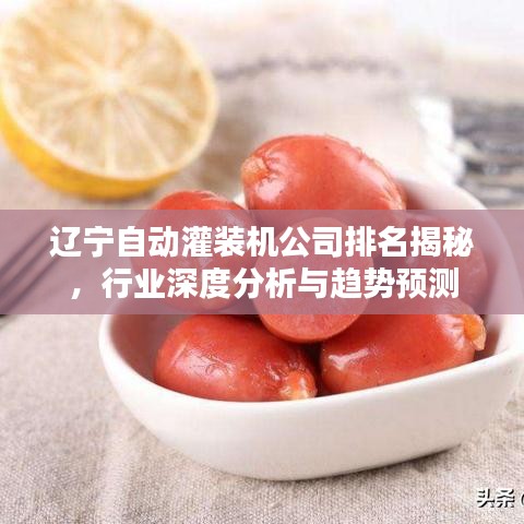辽宁自动灌装机公司排名揭秘，行业深度分析与趋势预测