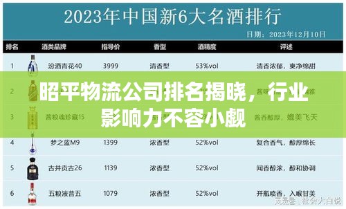 昭平物流公司排名揭晓，行业影响力不容小觑