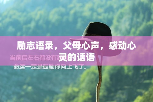 励志语录，父母心声，感动心灵的话语