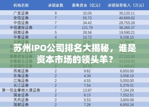 苏州IPO公司排名大揭秘，谁是资本市场的领头羊？
