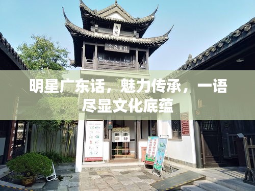 明星广东话，魅力传承，一语尽显文化底蕴