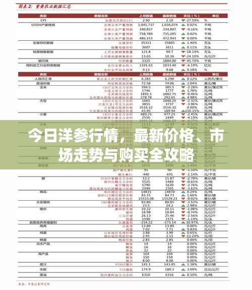 今日洋参行情，最新价格、市场走势与购买全攻略