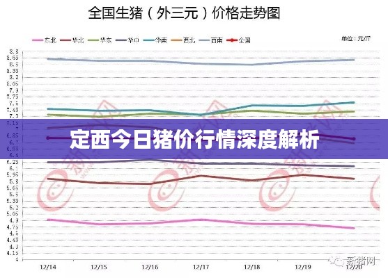 定西今日猪价行情深度解析