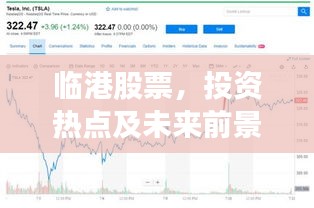临港股票，投资热点及未来前景深度解析
