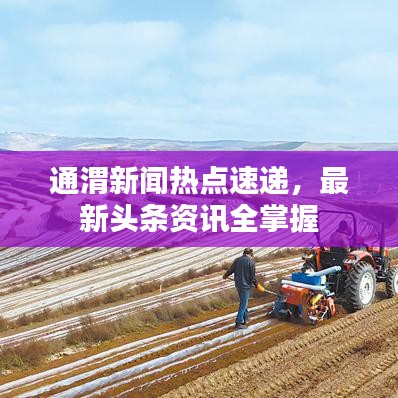 通渭新闻热点速递，最新头条资讯全掌握