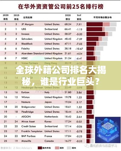 全球外籍公司排名大揭秘，谁是行业巨头？