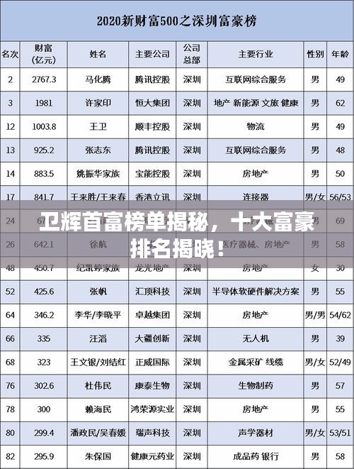 卫辉首富榜单揭秘，十大富豪排名揭晓！