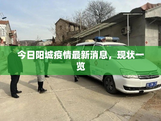 今日阳城疫情最新消息，现状一览