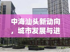 2025年6月 第4页