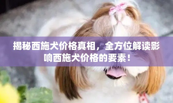 2025年6月 第3页