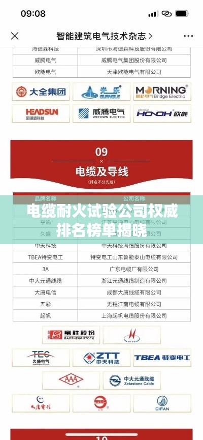电缆耐火试验公司权威排名榜单揭晓