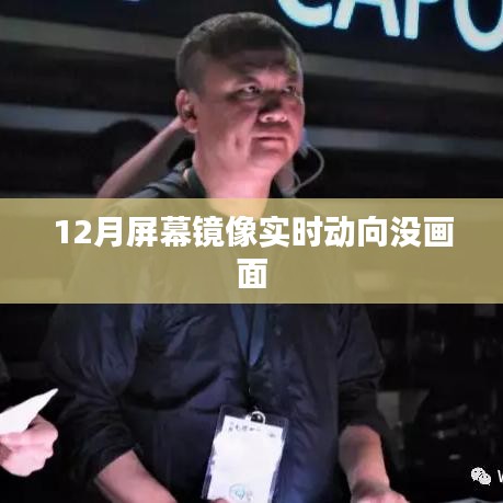 屏幕镜像实时动向无画面问题解析