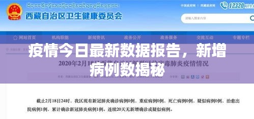 疫情今日最新数据报告，新增病例数揭秘