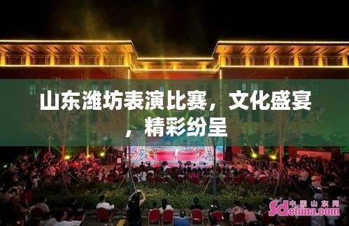 山东潍坊表演比赛，文化盛宴，精彩纷呈