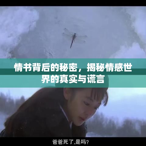 情书背后的秘密，揭秘情感世界的真实与谎言