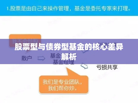 股票型与债券型基金的核心差异解析