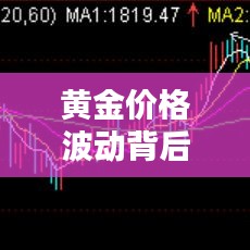 2025年6月20日